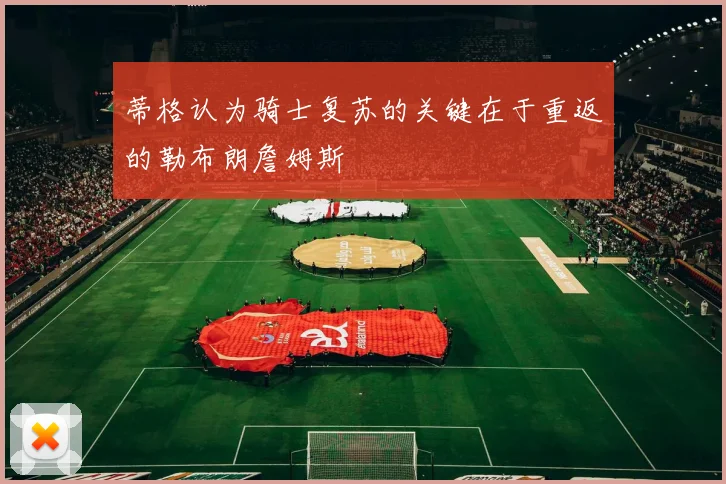蒂格认为骑士复苏的关键在于重返的勒布朗詹姆斯